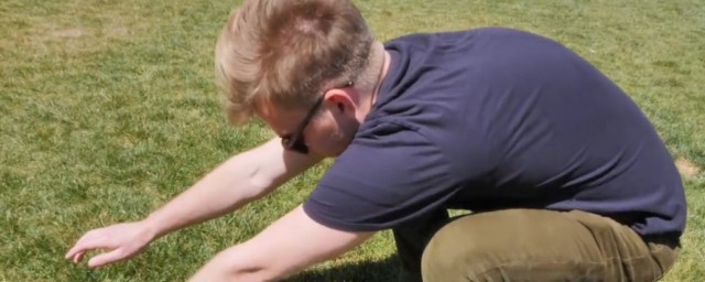 中国蹲简单介绍(中国蹲是什么意思)