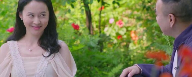 双喜盈门电视剧结局是怎样的(双喜盈门电视剧分集剧情)