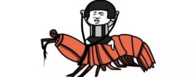 皮皮虾的网络意思(皮皮虾 网络用语)