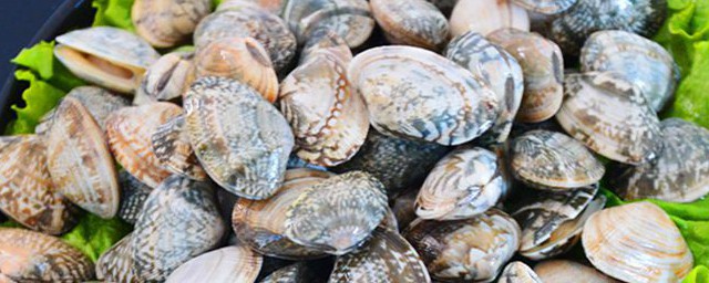 花甲离开水只能活几小时(花甲离开水三小时左右)