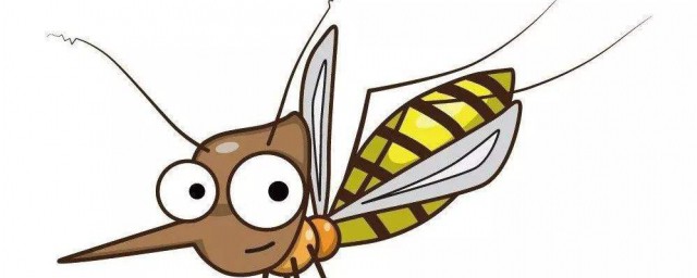 屋内小飞虫根除解决方法(屋里小飞虫怎么治理)