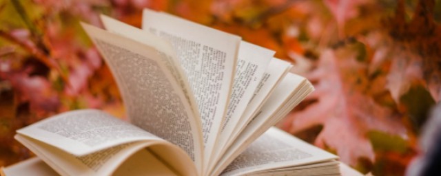 若有所思的理解(若有所思的理解是什么生肖)