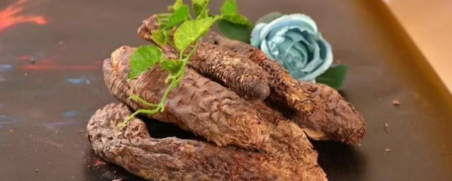 肉苁蓉简单介绍(百度百科肉苁蓉)