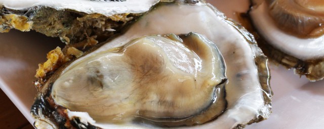 牡蛎肉有哪些作用(牡蛎有什么用处)