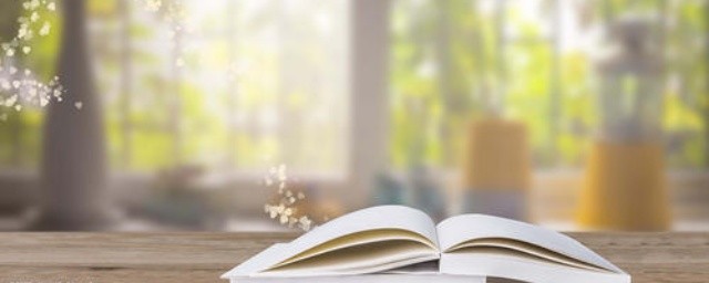 最大的书内容简述(最大的书中最大的书指的是)