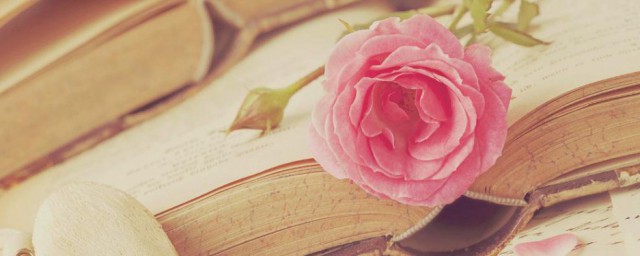 蕴含深意文案(精辟有深意的文案)