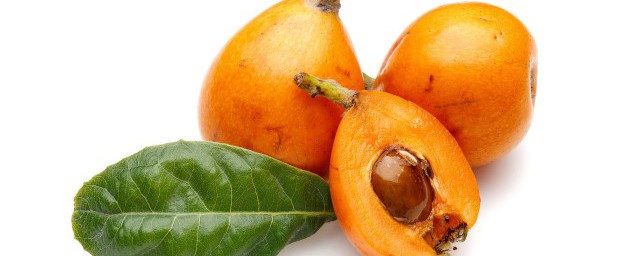 枇杷叶煮水的功效与禁忌是什么(枇杷叶煮水有用吗)