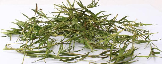 竹叶茶喝多了好不好(经常喝竹叶茶有什么坏处)