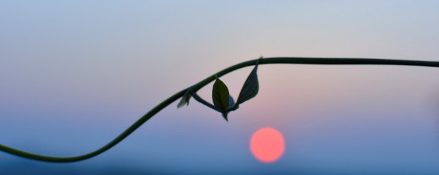 青城山景区需要玩几天(青城山能玩几天)