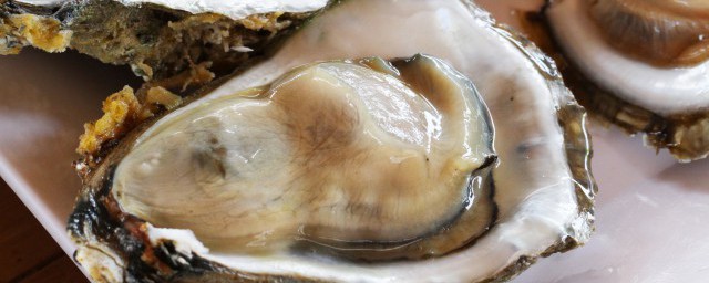 生海蛎子如何保存(海蛎子要怎么保存)