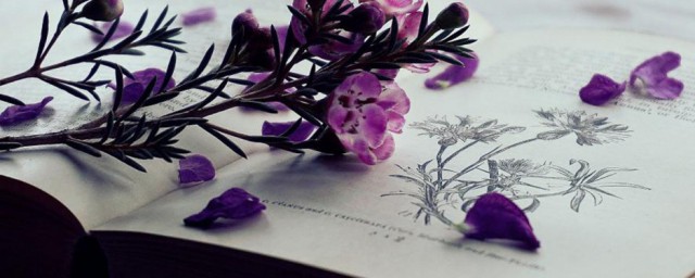 多重网络解释(具体阐述一下网络的多重属性)