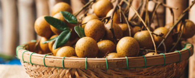 龙眼和桂圆是否为同一种水果(桂圆和龙眼是不是同一种水果)