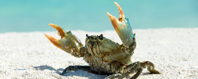 蟹六跪而二螯的而的含义(蟹六跪而二螯而表什么)