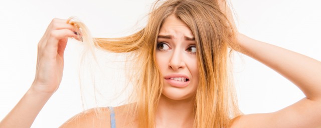 头发干枯毛躁怎么解决(如何解决头发干枯毛躁)