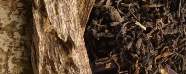 沉香茶属于哪类茶(云南沉香茶是不是属绿茶类)