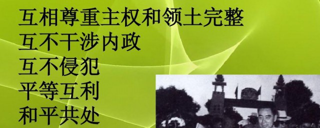 什么是和平共处五项原则(什么是和平共处五项原则,它有什么意义)