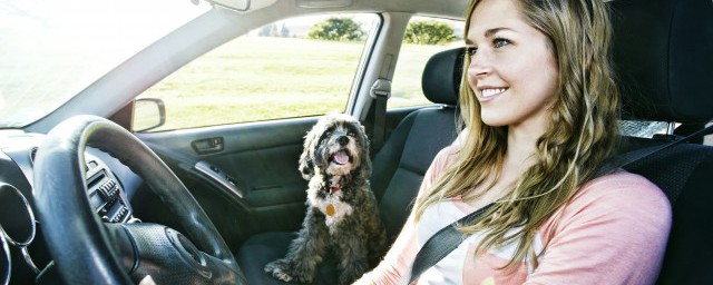 关于驾驶证丢了怎么办(驾驶证丢了咋整)