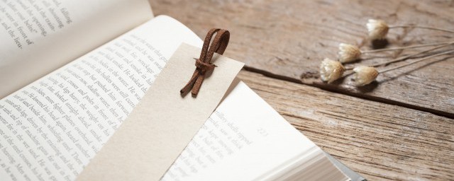 书到用时方恨少事非经过不知难的解释(书到用时方恨少事非经过不知难的意思是啥)