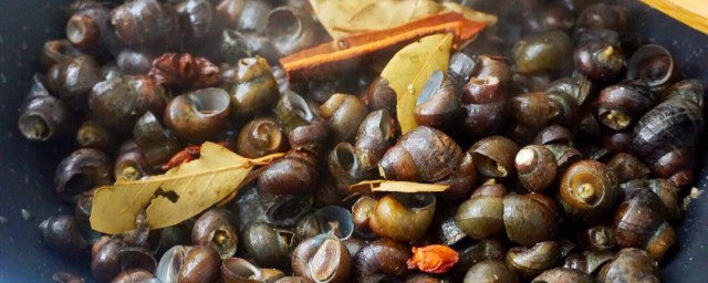 田螺主要吃的部分(田螺哪部分能吃哪一部分不能吃)