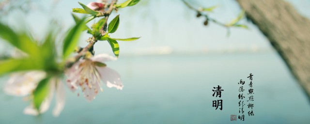 为什么清明节总在4月5日左右(清明节为什么都是4月5号那天的)