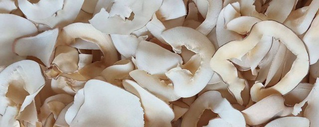 干海底椰片的正确泡发方法是什么(海底椰需要泡发吗)