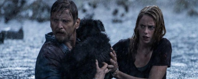 巨鳄风暴简单介绍(巨鳄风暴恐怖吗)