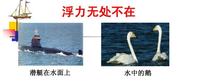 浮力产生的原因(浮力产生的原因教案)