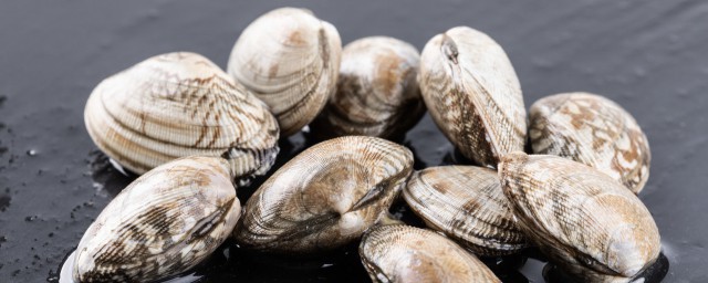 花蛤是海鲜吗(花蛤是海鲜吗是发物吗)