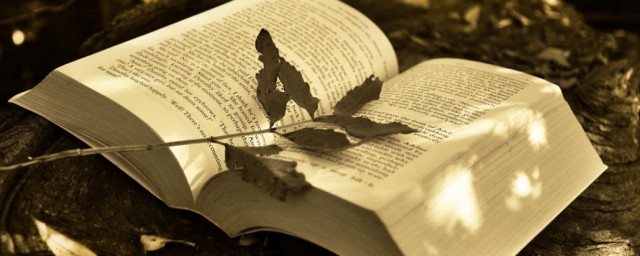 无线扩展解释(无线扩展模式是什么意思)