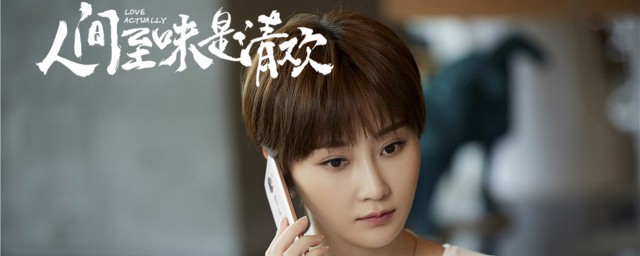 人间至味是清欢简介(《人间至味是清欢》)