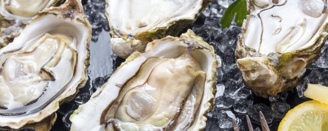 闭口的生蚝开口步骤(生蚝开口怎么回事)
