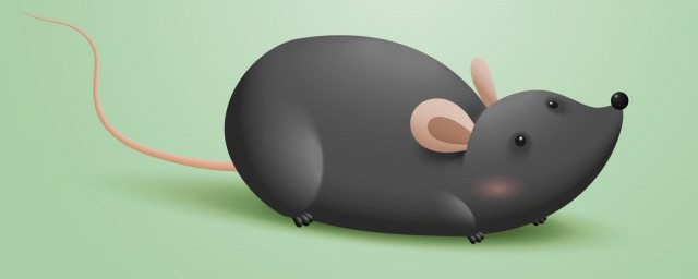 下水道的老鼠怎么清除(下水道老鼠怎么办)