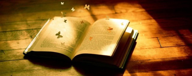 霍加加西故事简介(《霍加加西》的故事)