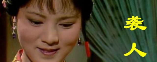 袭人人物介绍(袭人人物简介)