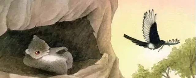 寒号鸟为什么会被冻死(寒号鸟为什么会被冻死,什么回答)