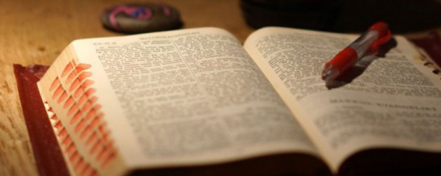 清关公司解释(清关公司翻译)