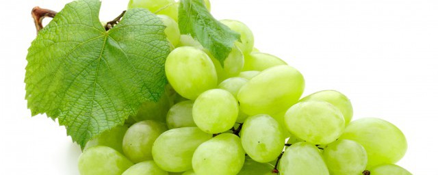 阳光玫瑰葡萄种植方法(阳光玫瑰葡萄苗怎么种植)