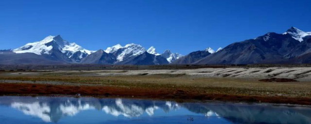 青藏高原四大圣湖分别哪几个(青藏高原的神山和圣湖分别是什么)