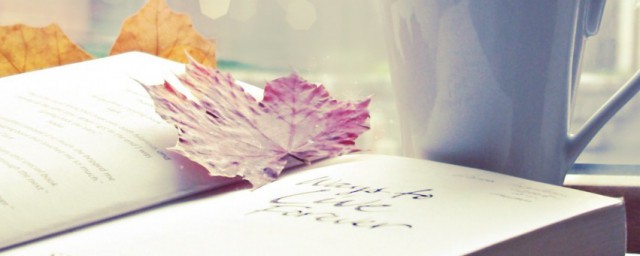 申请字号解释(工商申请中的申请字号什么意思)