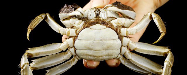 螃蟹和青枣是否可以一起吃(青枣和螃蟹能不能一起吃)