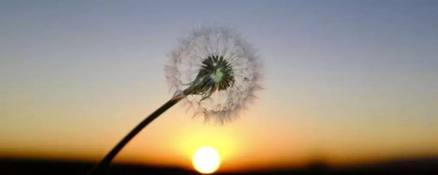 关于渐渐老去的自己说说(已经老去说说)