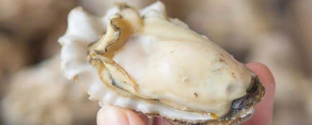 生蚝是传统滋补品吗(生蚝有什么营养)