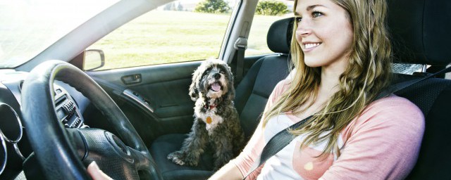 科目二挂科以后多久能补考(科二挂了得多久可以补考)