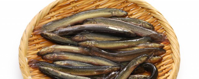 泥鳅放在清水里大约多少天要换一次水(泥鳅放水里需要换水吗)