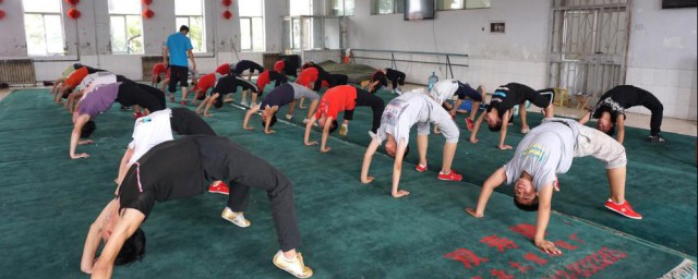 武术学校相关介绍(武术专业学校)