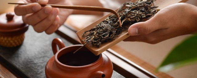 普洱茶怎么简单冲泡(普洱茶冲泡的步骤)