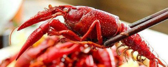 储藏杀死的小龙虾的方法(杀好的小龙虾如何保存)