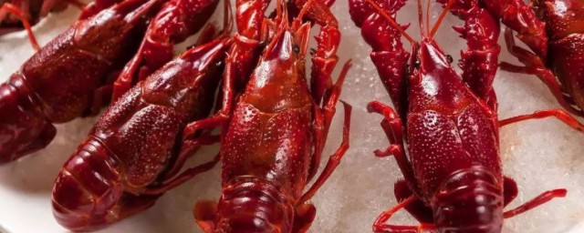 小龙虾长什么样子(小龙虾长什么样子我不看视你)