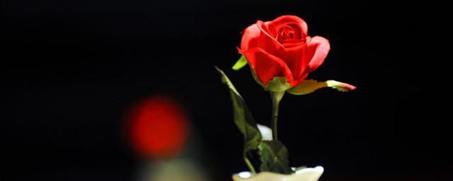 情人节送礼物合适(情人节送什么好礼物)