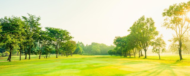 修心养性的佛经句子有哪些(佛家修心养性的句子)